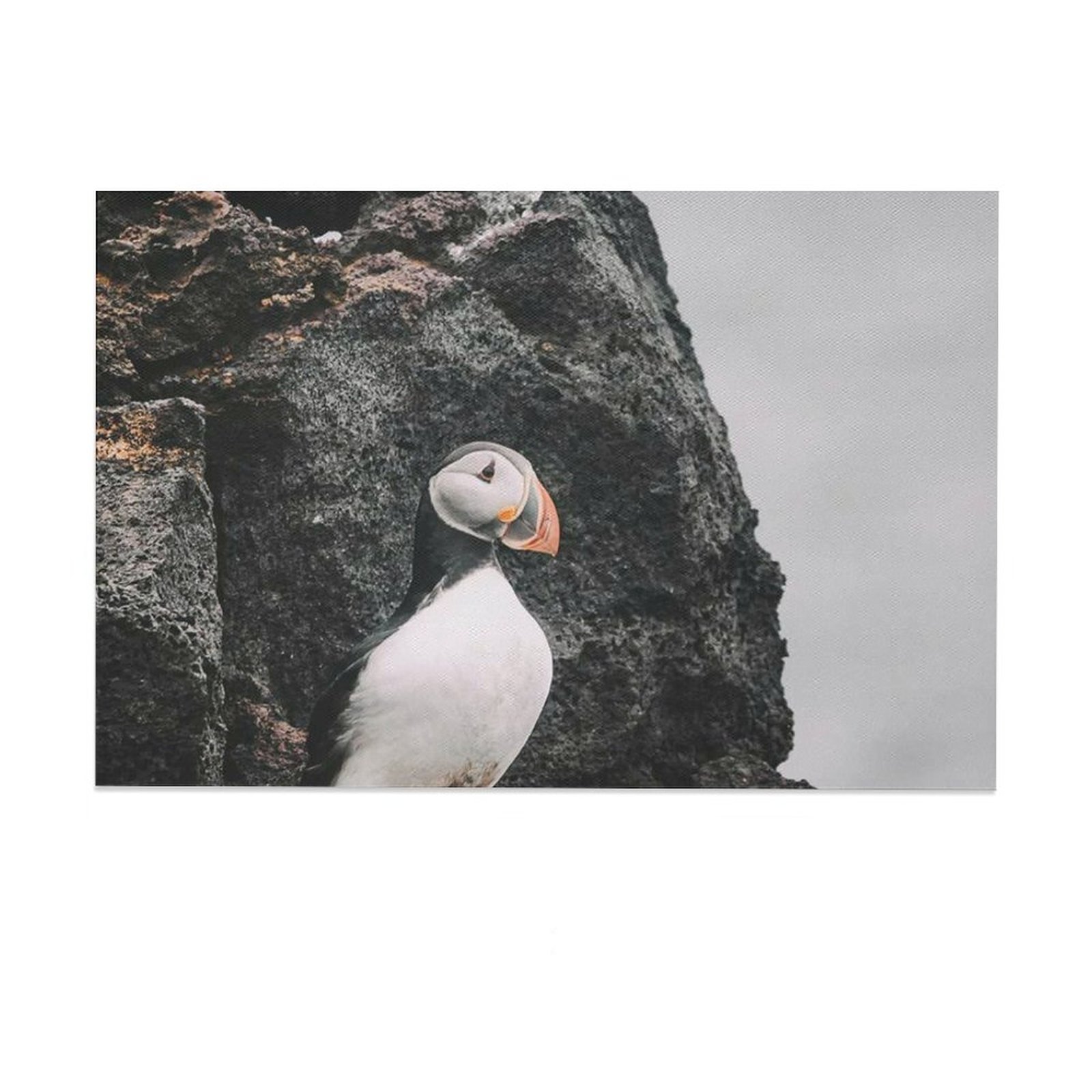 Hanging Picture-Rectangle Aanimal Cute Sea Bird Puffin Unframe-style Canvas Prints Wall Painting Wall Art Decor Print Picture Paintings for Living Roo