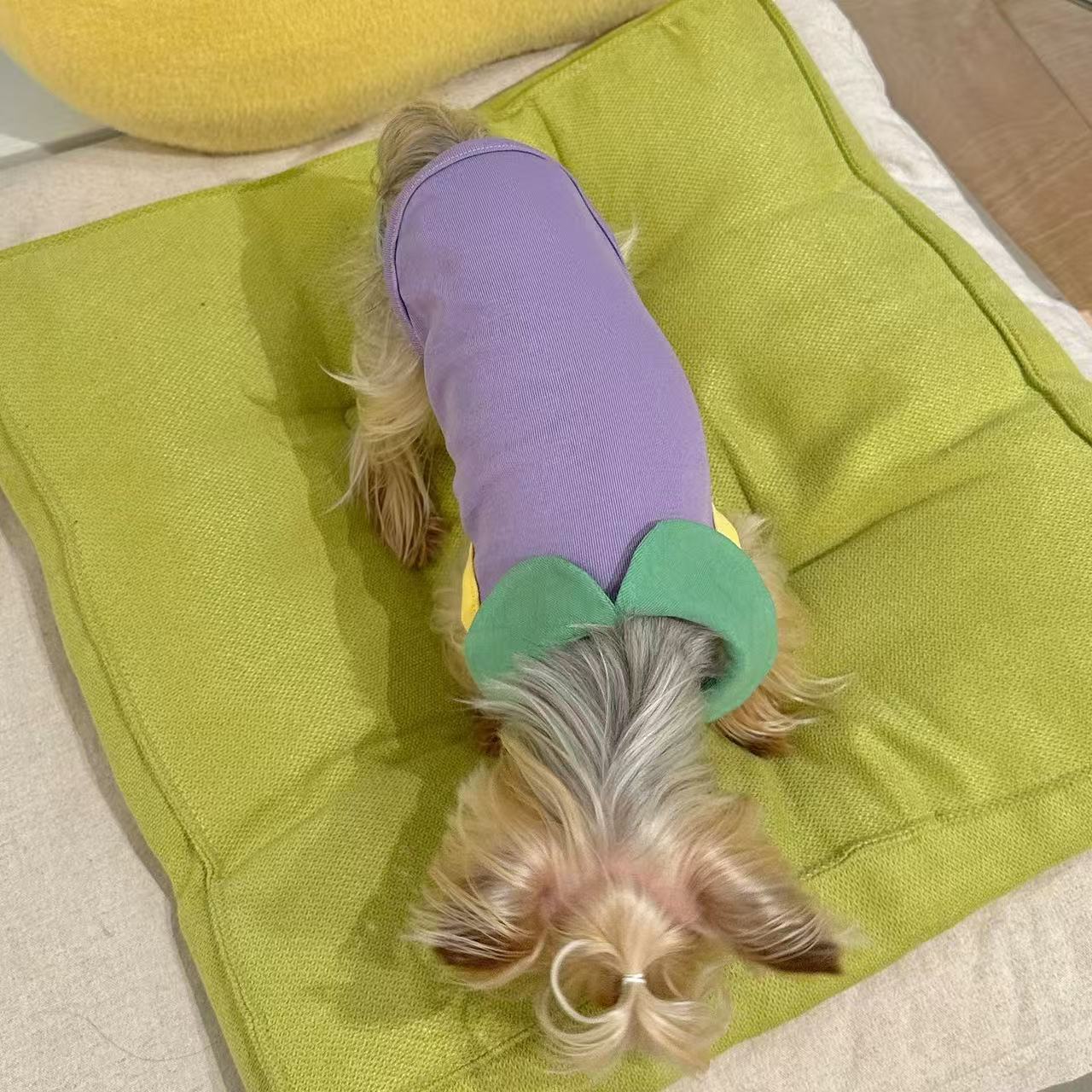 T00274 Xiaotianzhou pet clothes autumn and winter lace lamb fleece warm two-legged skirt Yorkshire Maltese pet clothes
