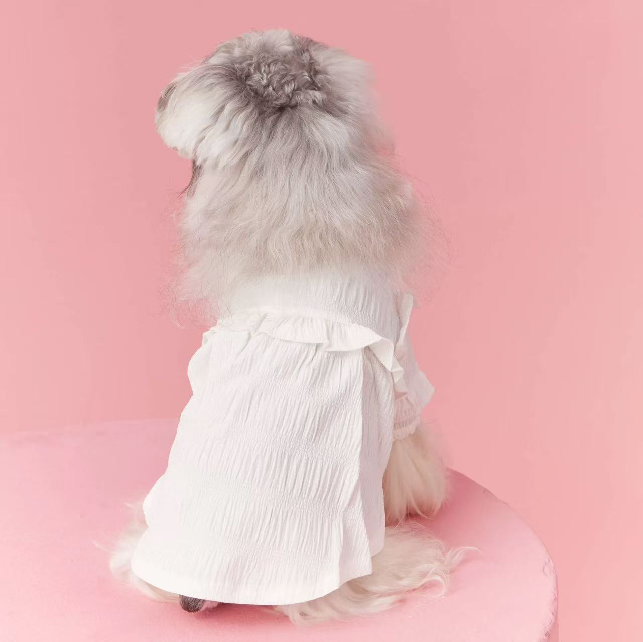 T00282 Autumn and winter dog clothes inner sweater pet Schnauzer Teddy Bichon Yorkshire Terrier Maltese Pomeranian Shiba Inu