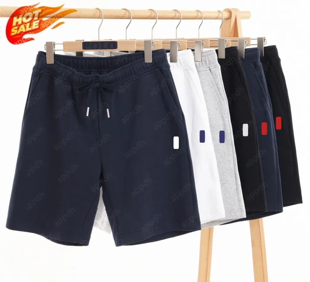 Plus Size Men Polo horse embroidery mens designer swimming trunks beach shorts fashion Quick drying casual swim short shippings ef M-5XL