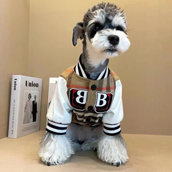 Dog Winter Clothes Striped Grid Dog Baseball Jacket for Small Dogs, Thickened Inner Lining Dog Jacket Warm Winter Windproof Jacket for Puppy, Chihuahu