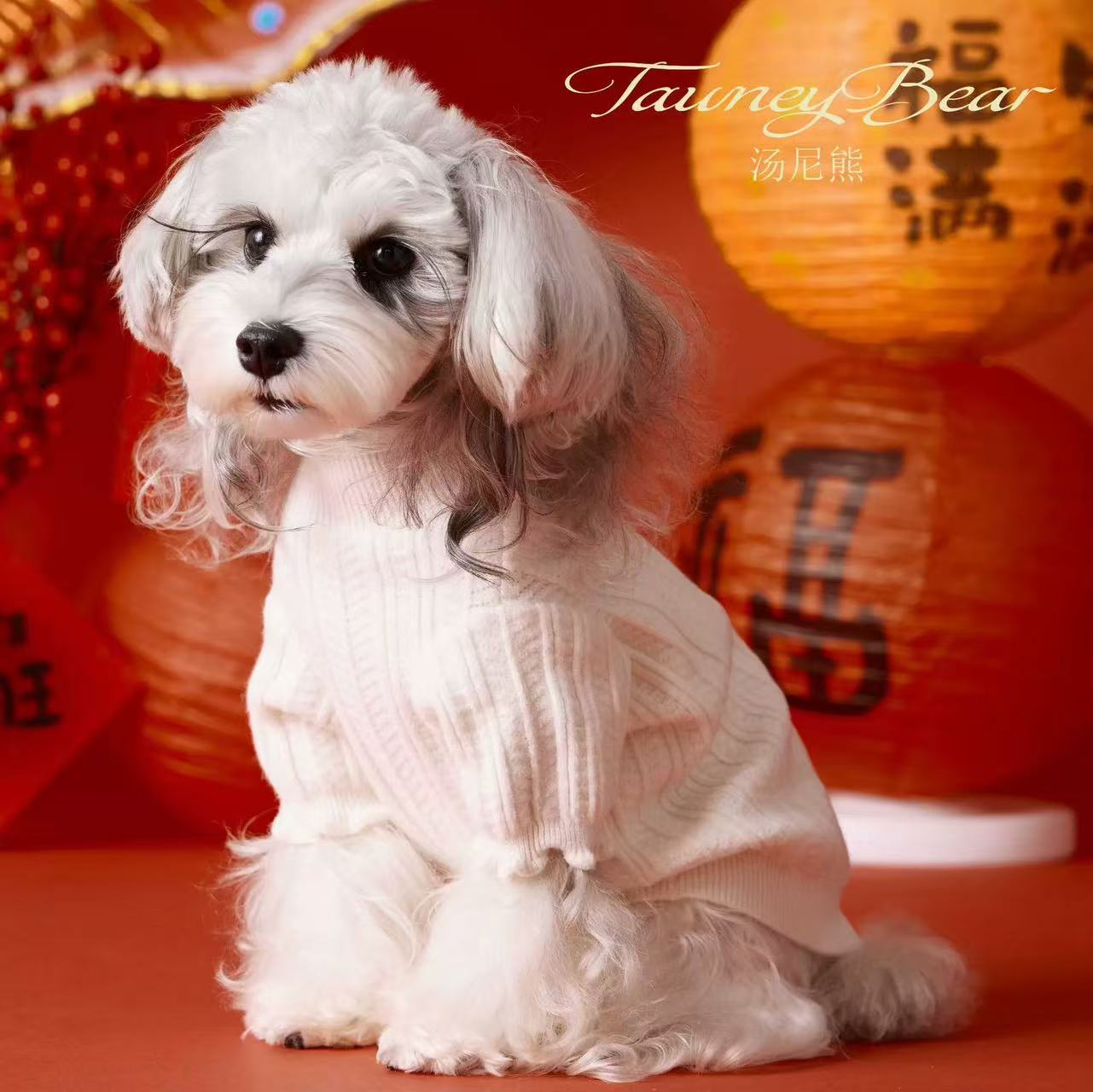 T00285 Spring and Summer Dog Clothes T-shirts Pets Maltese Schnauzer Yorkshire Teddy Bichon Pomeranian Shiba Inu Cat