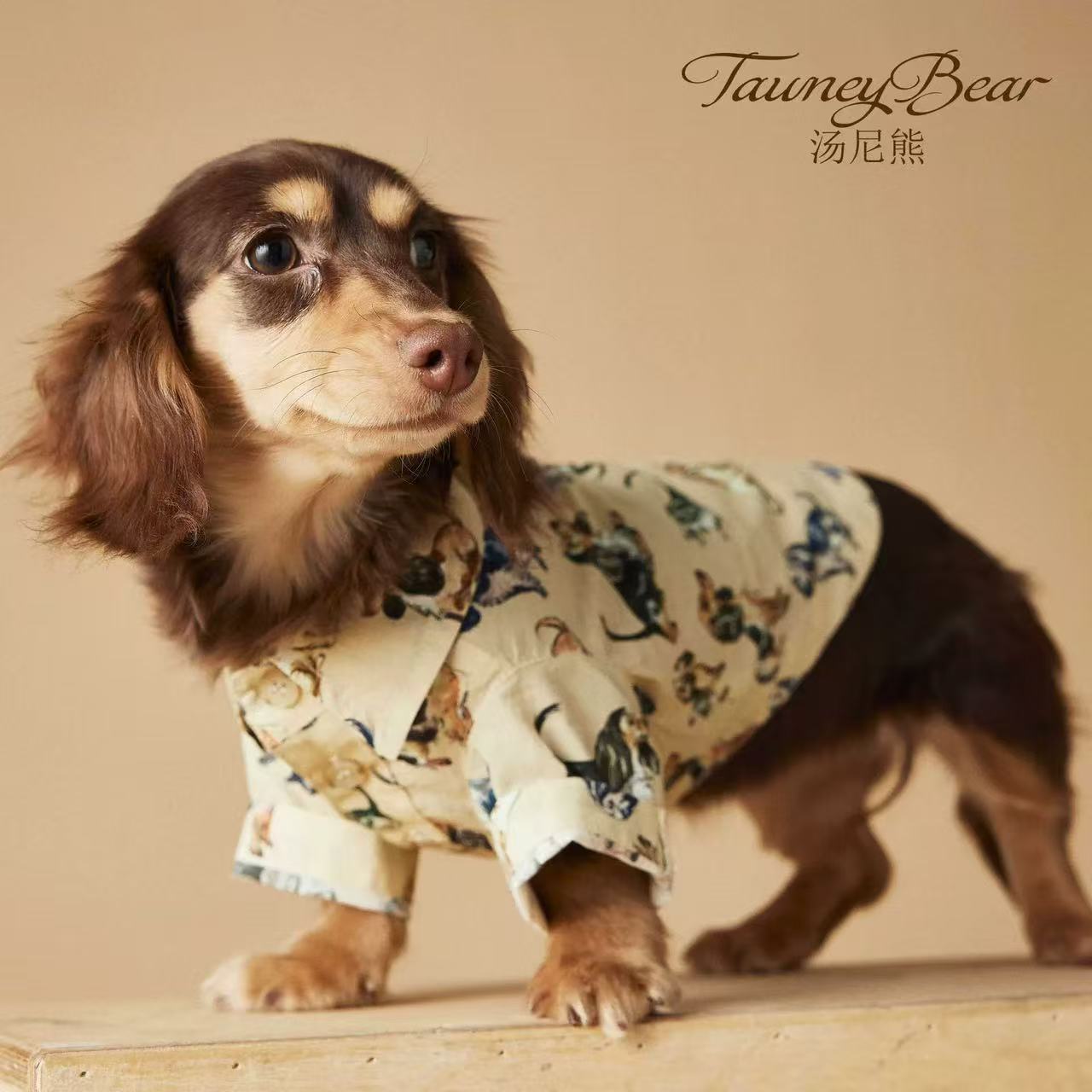 T00291 Spring and Summer Dog Clothes Printed Shirts Pets Maltese Schnauzer Yorkshire Teddy Bichon Pomeranian Shiba Inu