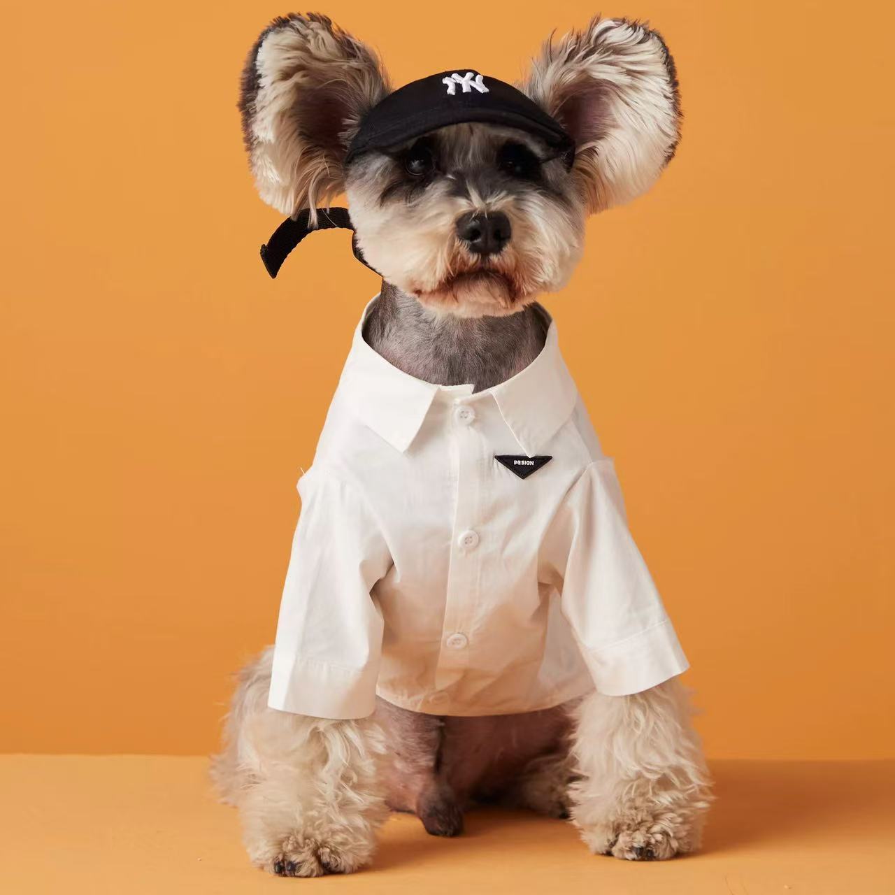T00287 Autumn and winter dog clothes inner wear pet Teddy Schnauzer Maltese Bichon Pomeranian Yorkshire Shiba Inu cat