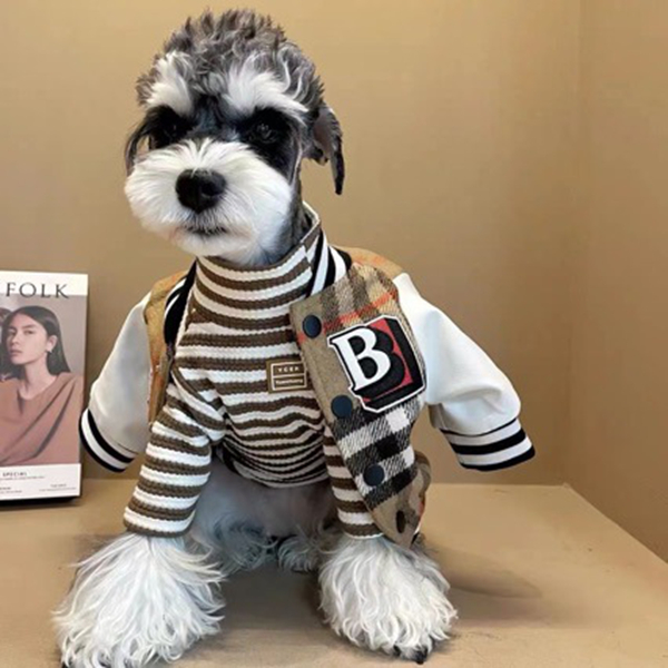 Dog Winter Clothes Striped Grid Dog Baseball Jacket for Small Dogs, Thickened Inner Lining Dog Jacket Warm Winter Windproof Jacket for Puppy, Chihuahu