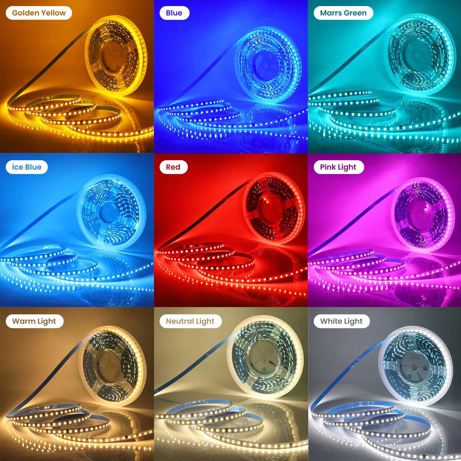 220V 240V LED Strip 5M 10M 20M 50M IP44 2835 120Leds/M Flexible Tape Ribbon 10CM Can Be Cut NO Need Driver Rope Light 9 Colors W250524