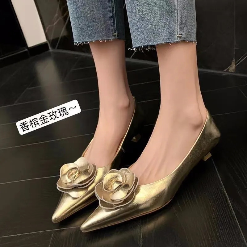Women Shoes High Heels Loafers Elegant Woman Shoes Low Heels Wedding Bride Pointed Toe Silver Gold Rose Evening Party Shoes 250521