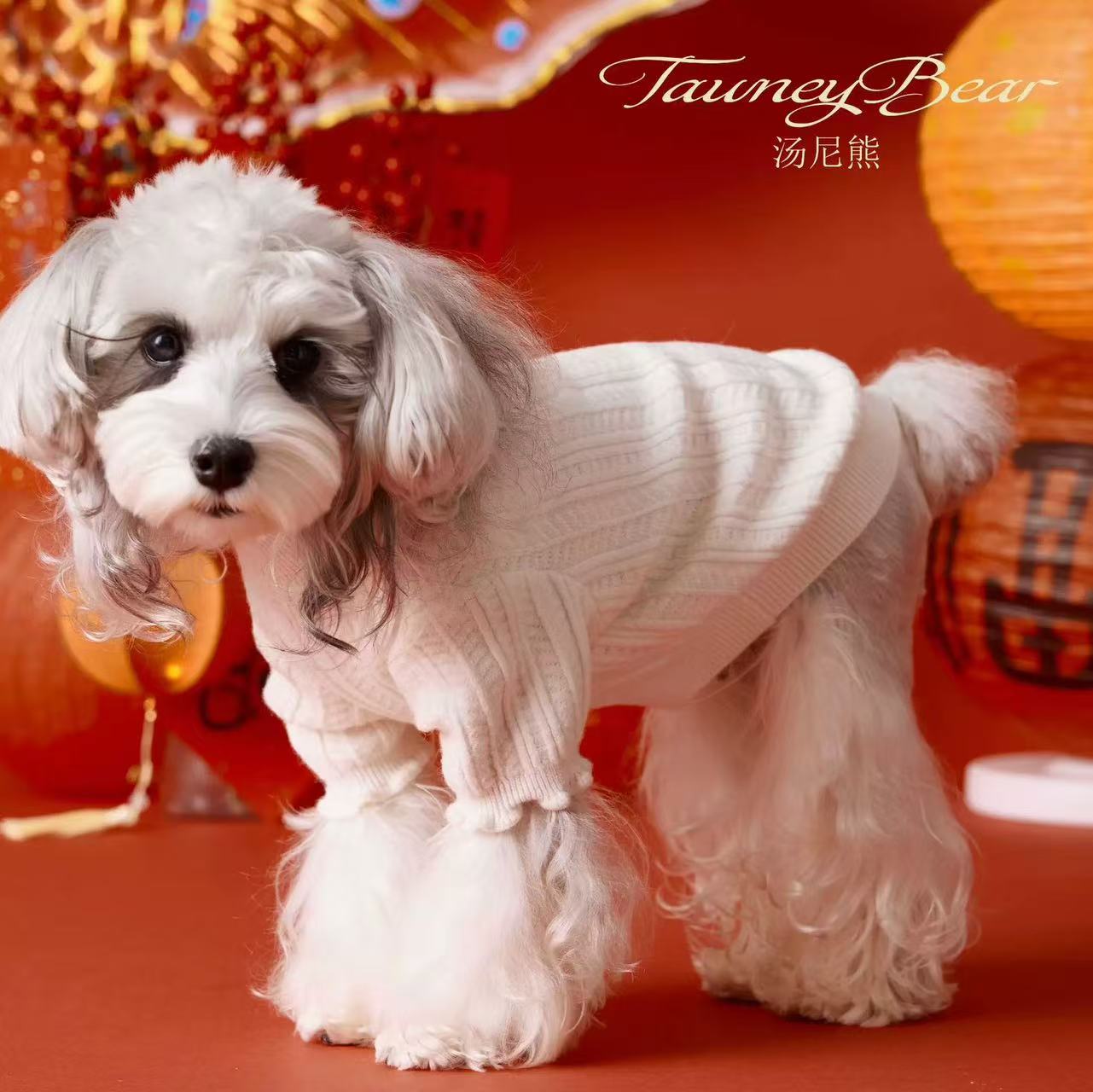 T00285 Spring and Summer Dog Clothes T-shirts Pets Maltese Schnauzer Yorkshire Teddy Bichon Pomeranian Shiba Inu Cat