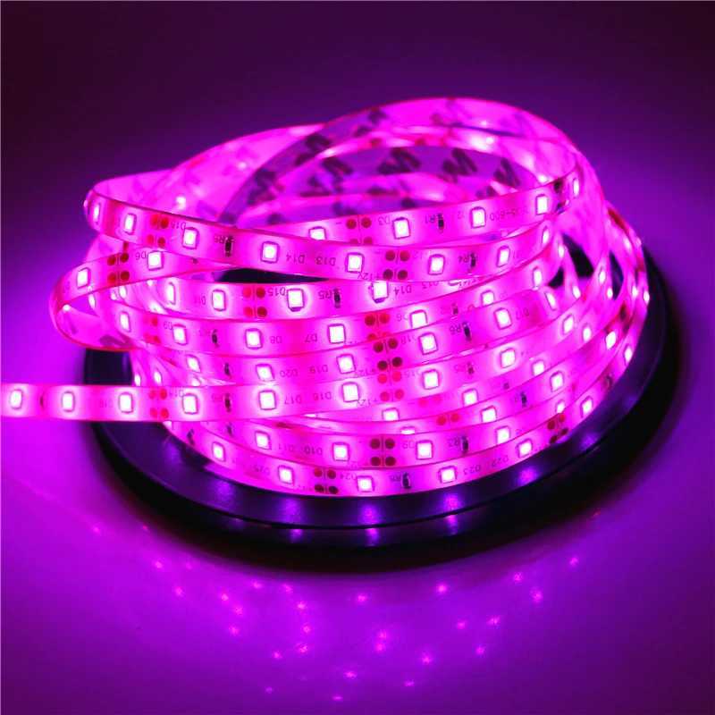 2835 SMD led strip light DC12V 5M 300LEDs flexible ribbon tape lighting White Warm white Red Green Blue Yellow Pink RGB W250524