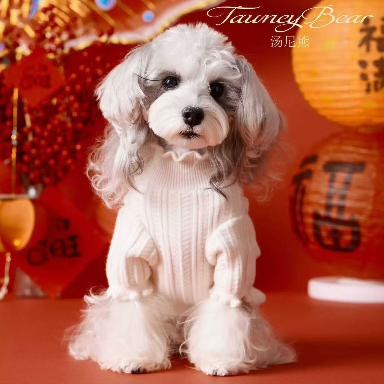T00285 Spring and Summer Dog Clothes T-shirts Pets Maltese Schnauzer Yorkshire Teddy Bichon Pomeranian Shiba Inu Cat
