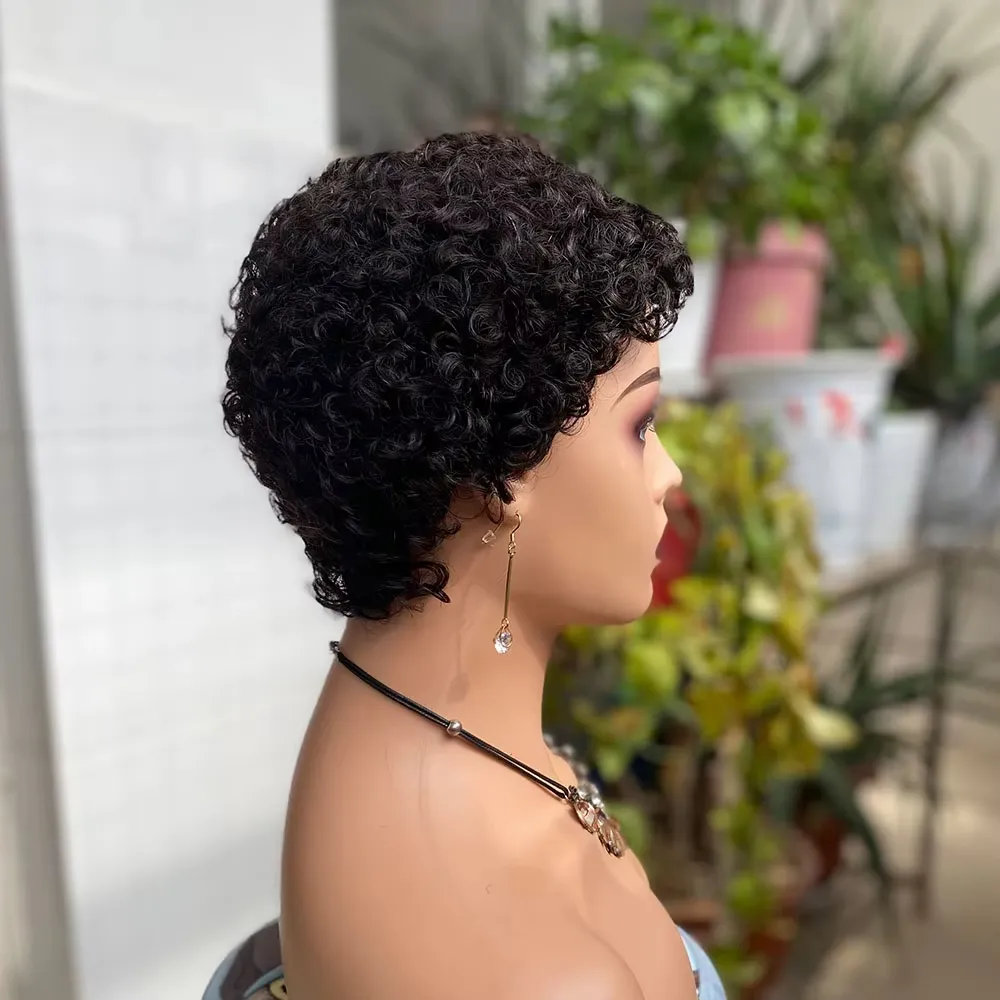 100% Human Hair Wig Pixie Cut Short Bob Wigs 13x4 Lace Curly For Black Women Frontal Wig High Quality Brazilian Pixie Human Hair Glueless Pre Plucked 