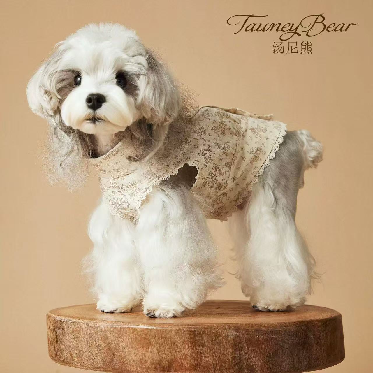 T00299 Cute dog clothes pet sweater autumn and winter warm anti-hair loss small and medium-sized dog cat schnauzer clothes