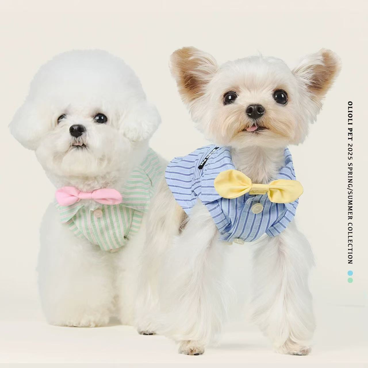 T00300 Baijiabu pet shirt autumn and winter anti-hair loss Teddy Bichon Pomeranian Corgi Schnauzer dog clothes trendy