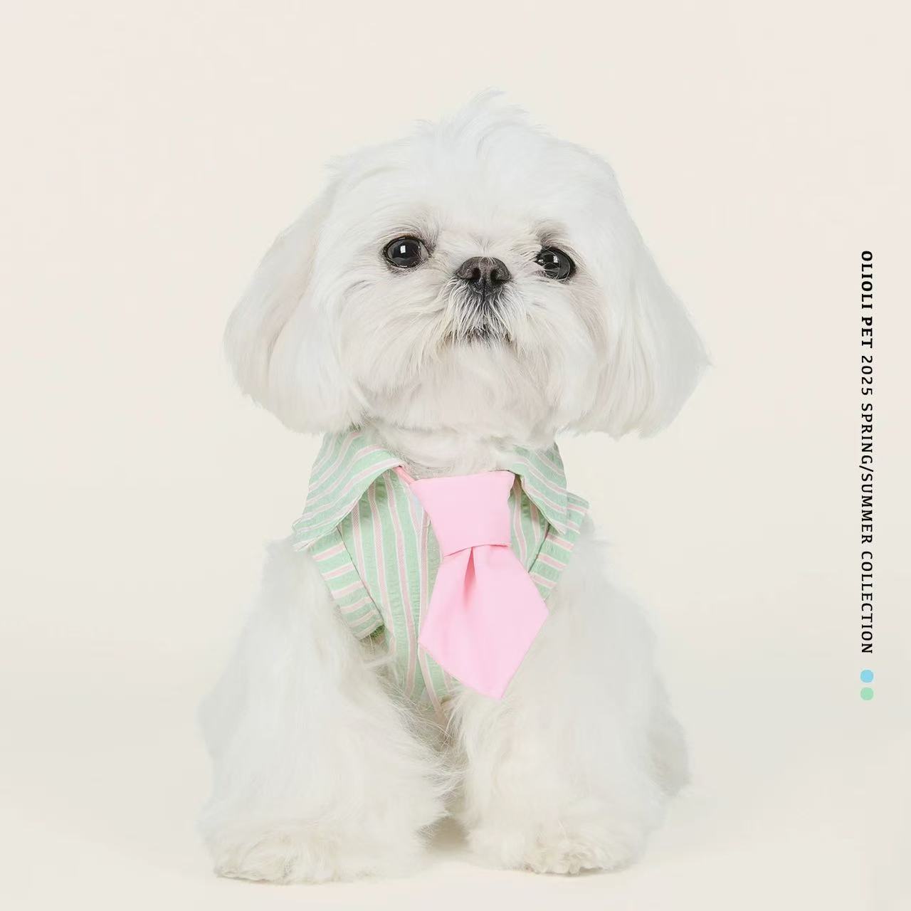 T00300 Baijiabu pet shirt autumn and winter anti-hair loss Teddy Bichon Pomeranian Corgi Schnauzer dog clothes trendy