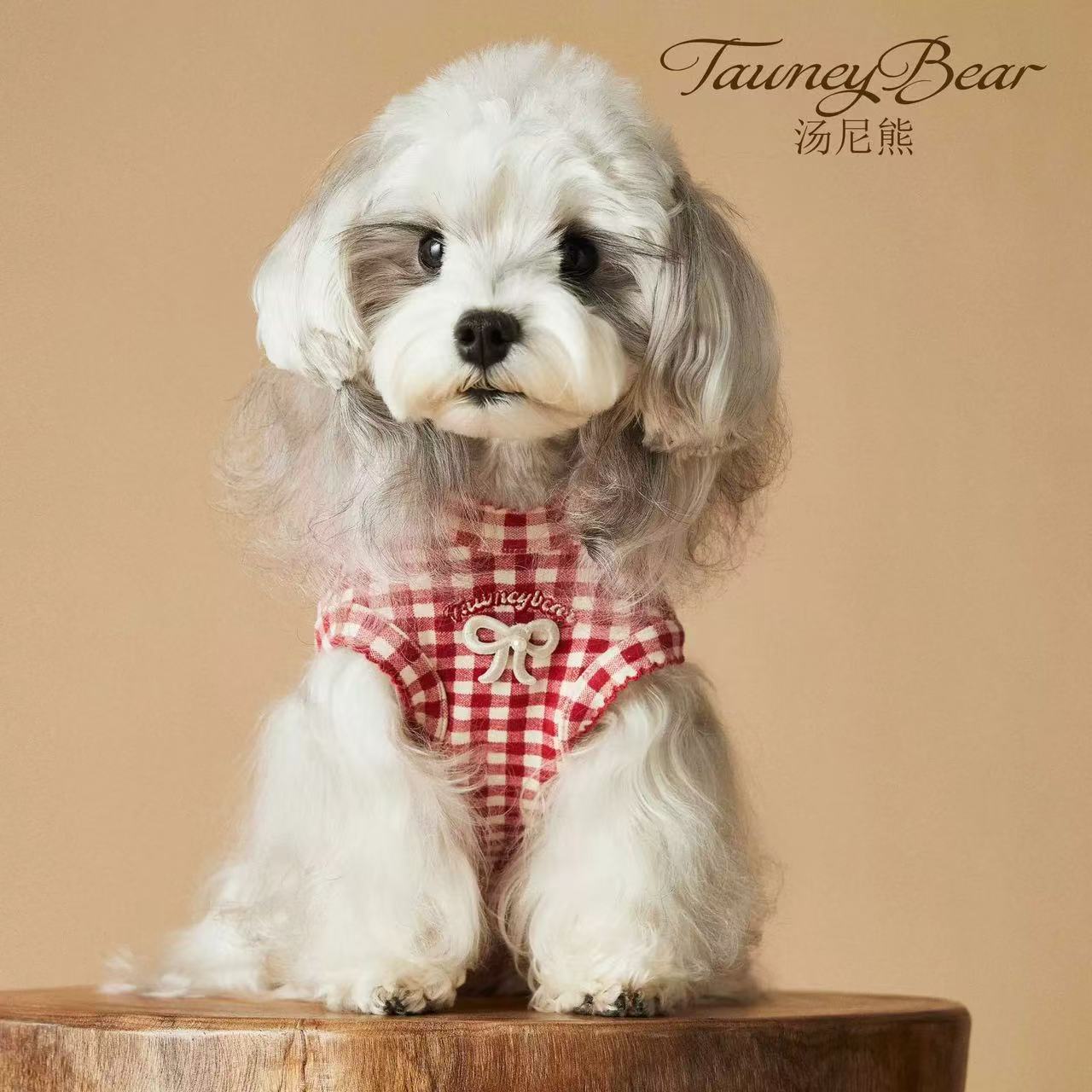 T00297 Dog clothes summer thin 2025 new small dog Bichon Schnauzer pet shirt