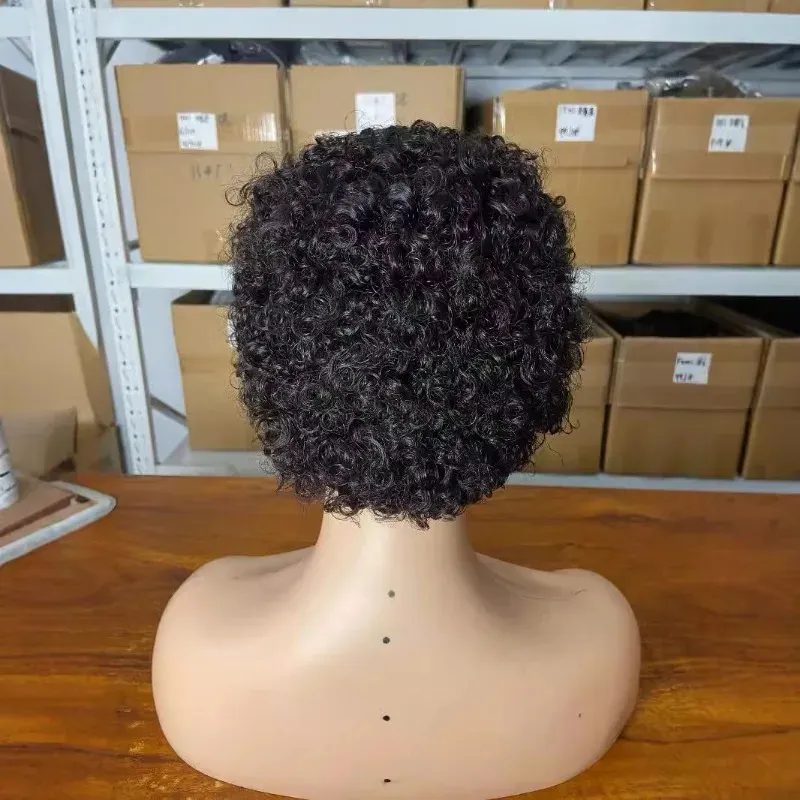 100% Human Hair Wig Pixie Cut Short Bob Wigs 13x4 Lace Curly For Black Women Frontal Wig High Quality Brazilian Pixie Human Hair Glueless Pre Plucked 