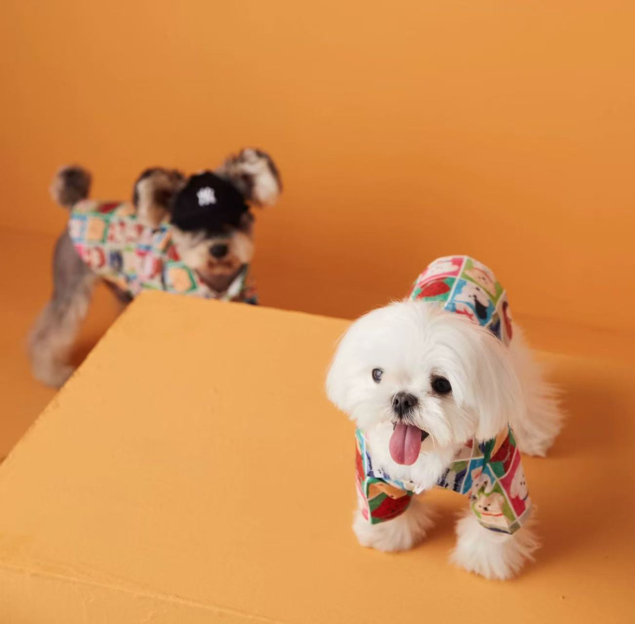 T00294 Pet cape vest dog clothes cloak British style puppy schnauzer teddy bear big dog denim spring and autumn