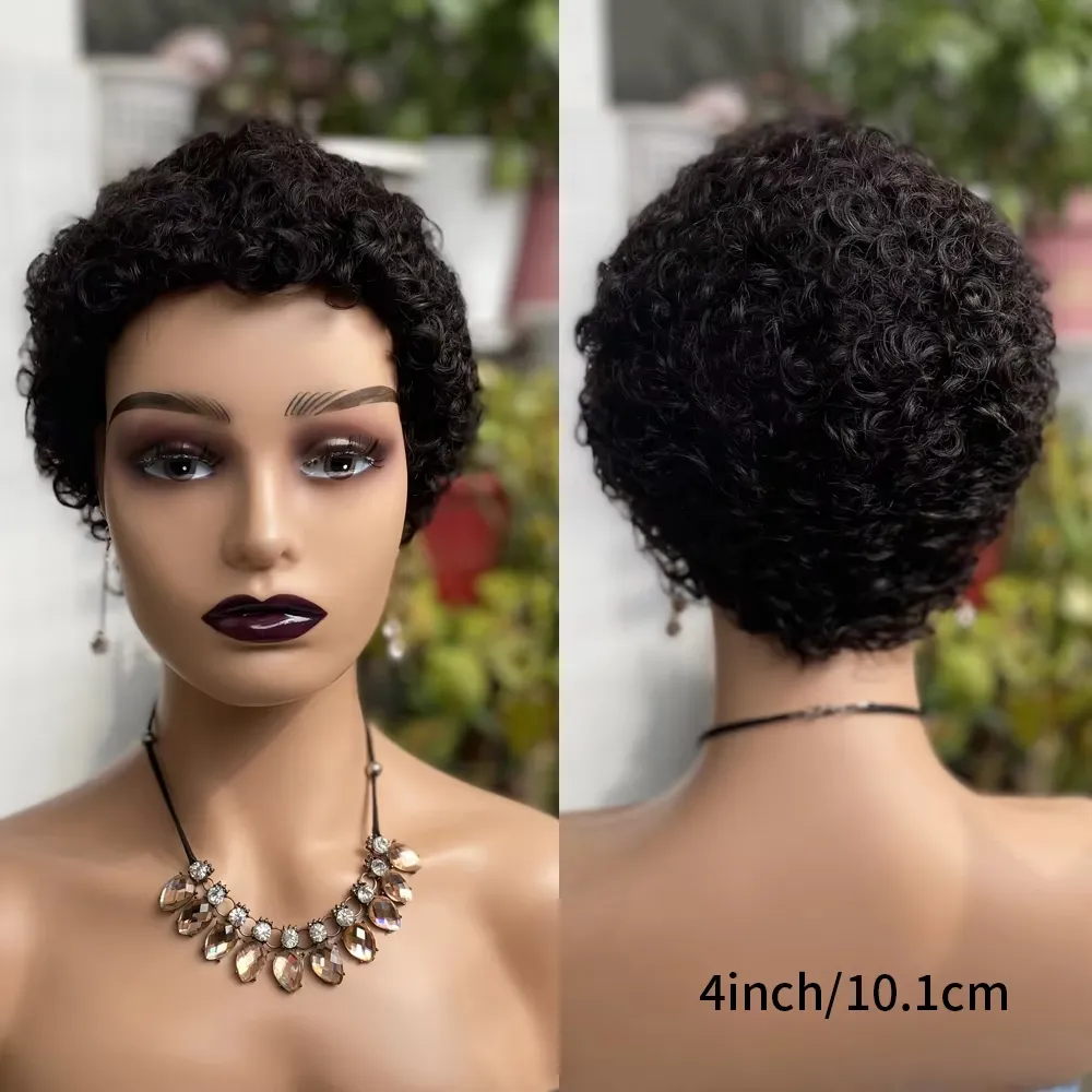 100% Human Hair Wig Pixie Cut Short Bob Wigs 13x4 Lace Curly For Black Women Frontal Wig High Quality Brazilian Pixie Human Hair Glueless Pre Plucked 