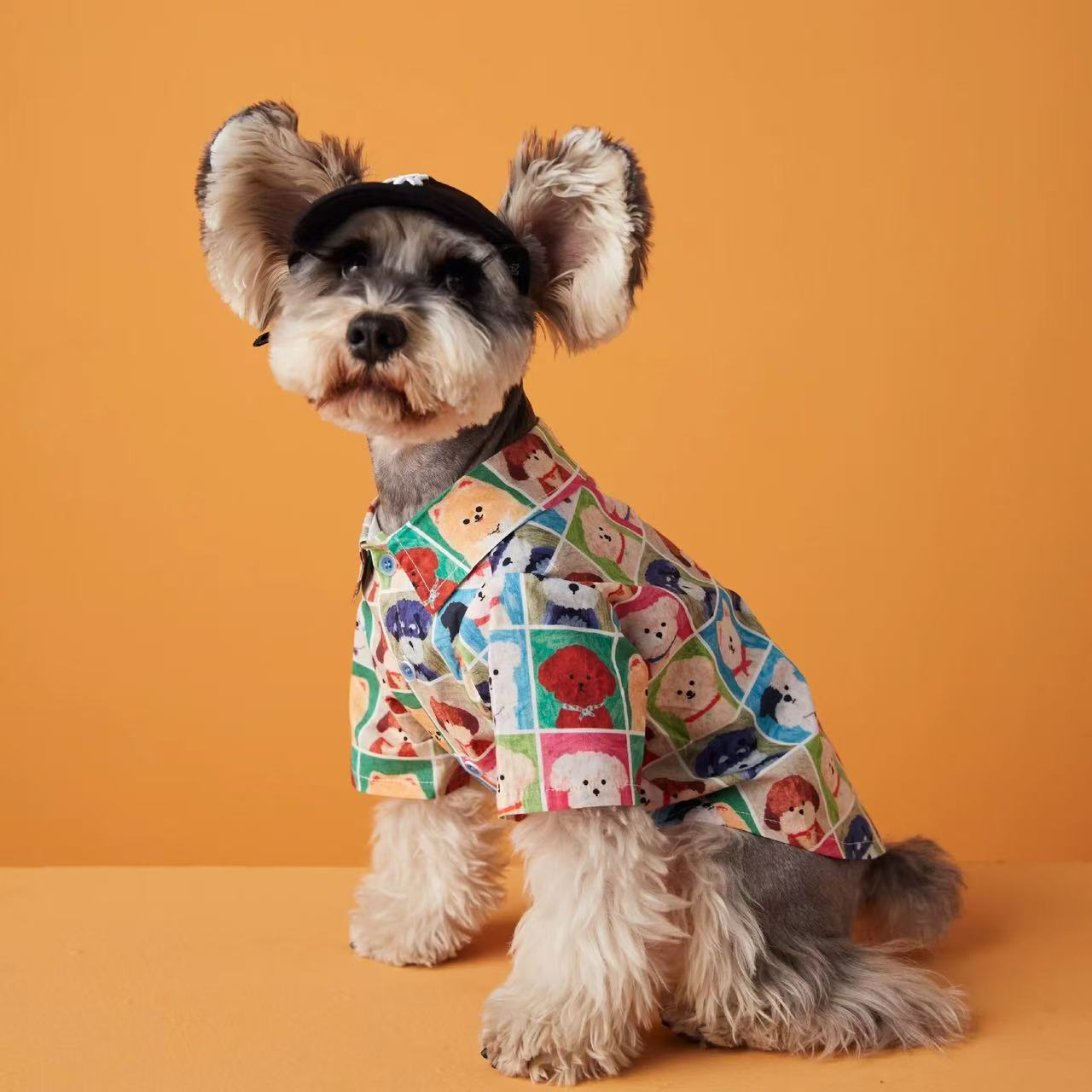 T00294 Pet cape vest dog clothes cloak British style puppy schnauzer teddy bear big dog denim spring and autumn