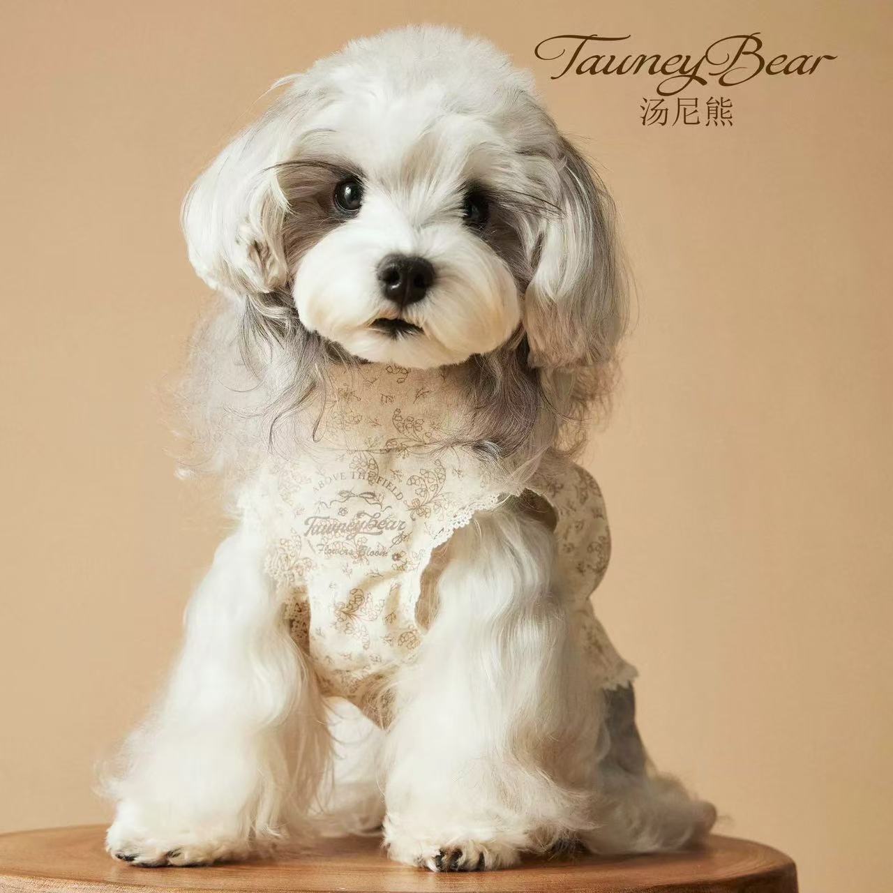 T00293 Pet cape vest dog clothes cloak British style puppy schnauzer teddy bear big dog denim spring and autumn