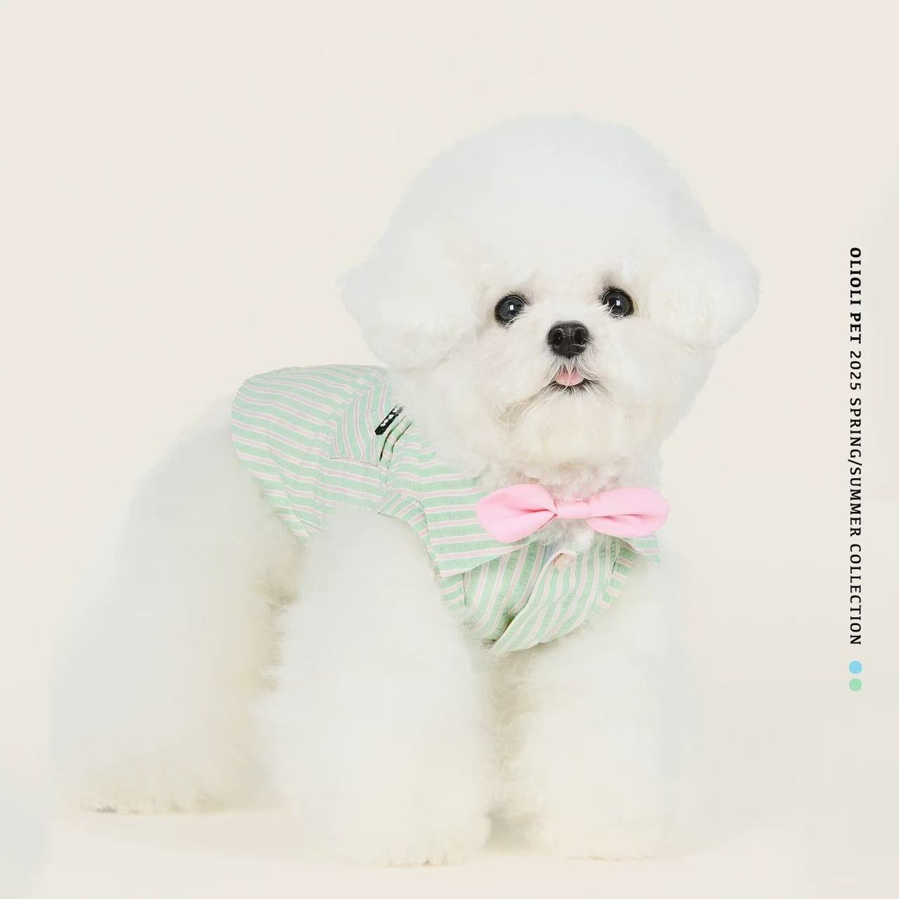 T00300 Baijiabu pet shirt autumn and winter anti-hair loss Teddy Bichon Pomeranian Corgi Schnauzer dog clothes trendy