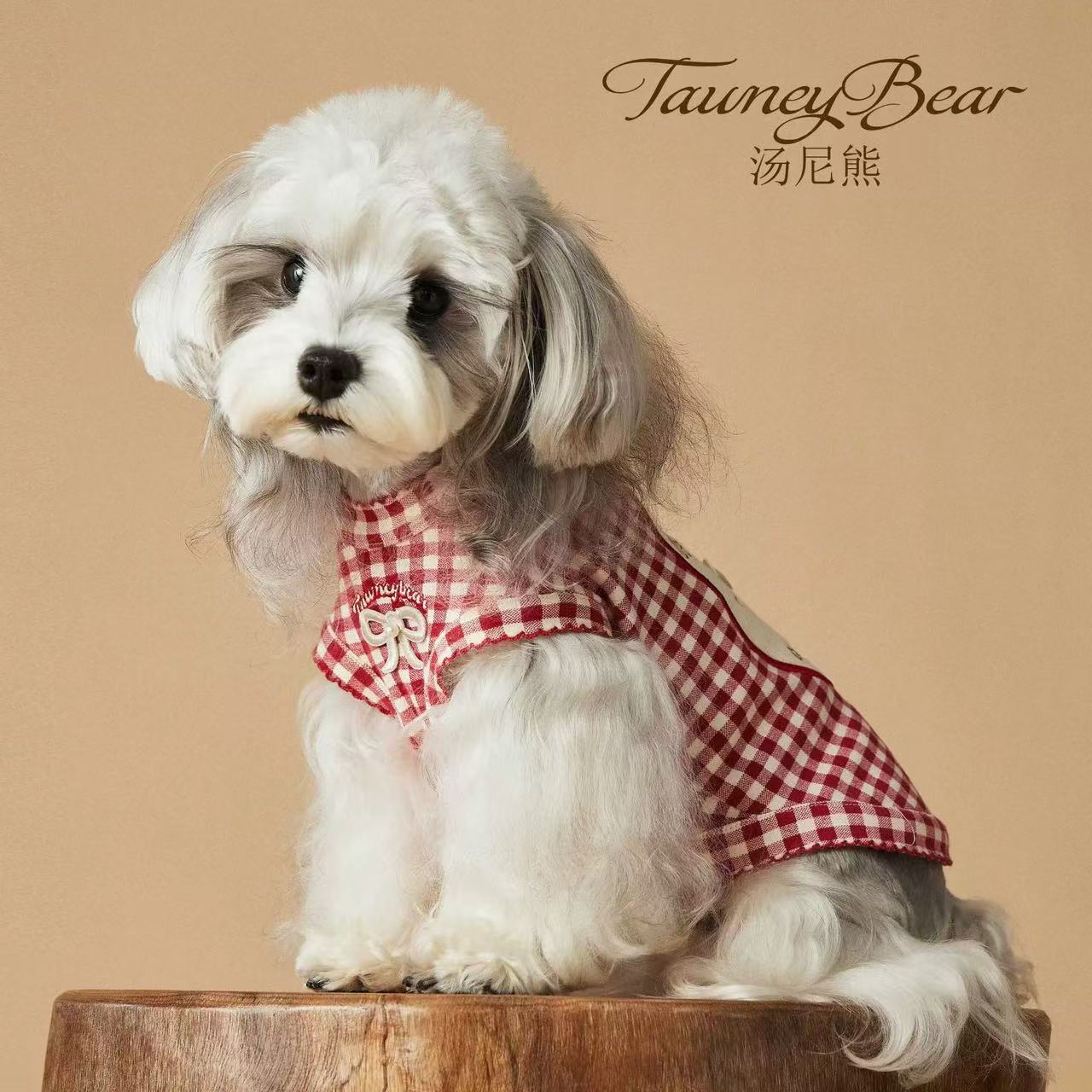 T00297 Dog clothes summer thin 2025 new small dog Bichon Schnauzer pet shirt