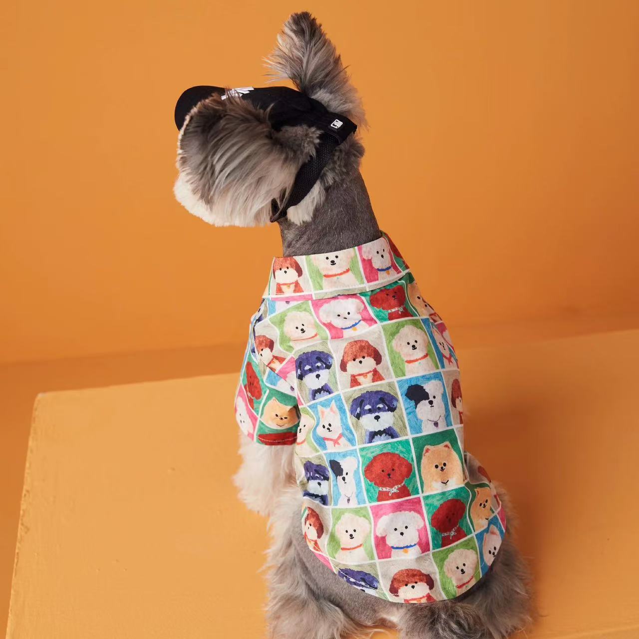 T00294 Pet cape vest dog clothes cloak British style puppy schnauzer teddy bear big dog denim spring and autumn