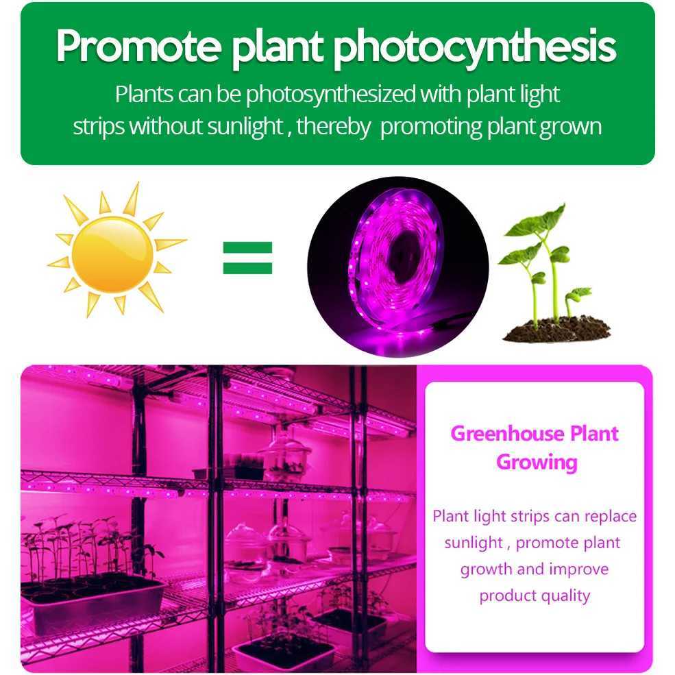 5V USB LED Bitki Byme I 2M 5M Tam Spektrum Hidroponik Yetitirme Lambalar Mekan Bitkiler Sera iekler Tohumlar Fito Lamba eritXJ250526