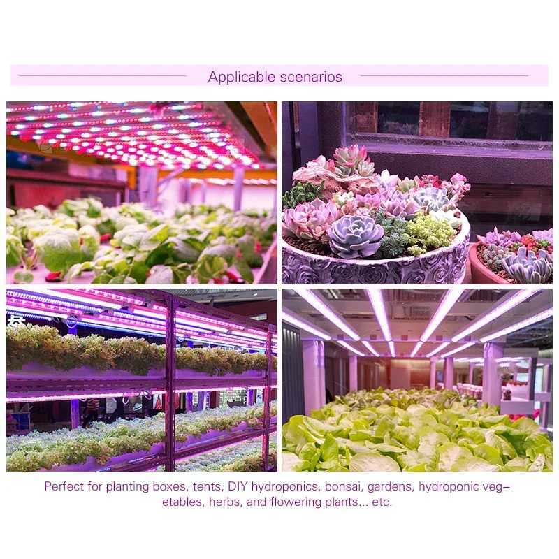 LED Grow Light 5V USB Plug Full Spectrum LED Bar Lamp for Plants High Luminous Efficiency 30cm for Grow Tent Greenhouses FlowersXJ250526