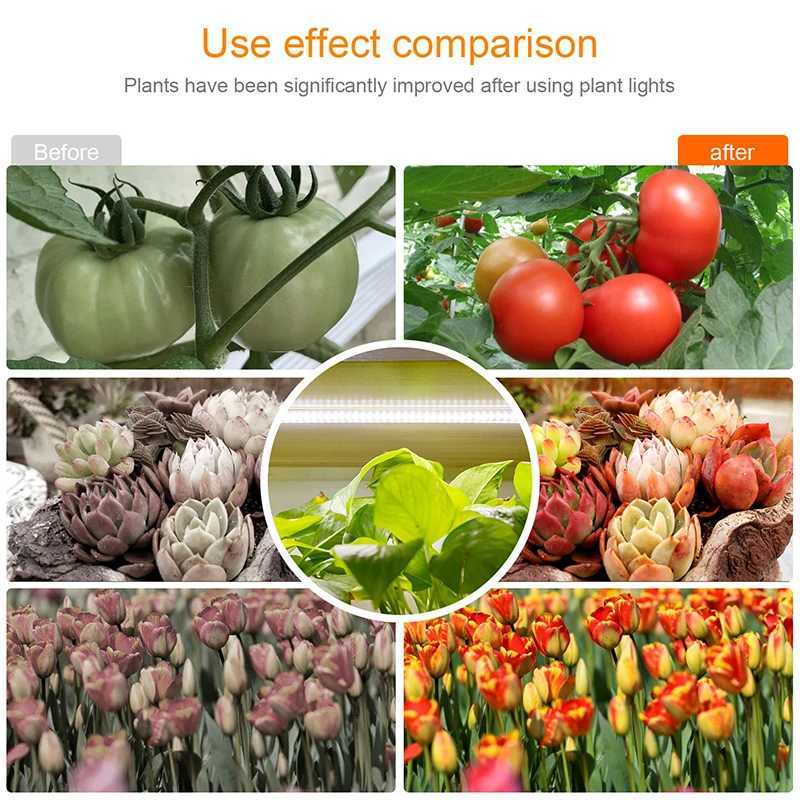Indoor Led Grow Light USB Timer Phyto Lamp For Plants Dimmable LED Lamp Phytolamps Full Spectrum Hydroponics Growing LampsXJ250526