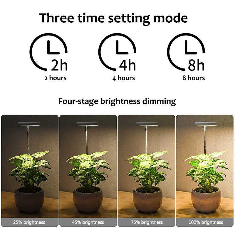 LED Indoor Angel Ring Plant Growth Light 2/4/8H On/Off Timer USB 5V Retractable Height Full Spectrum Simulated Sunlight PlantXJ250526