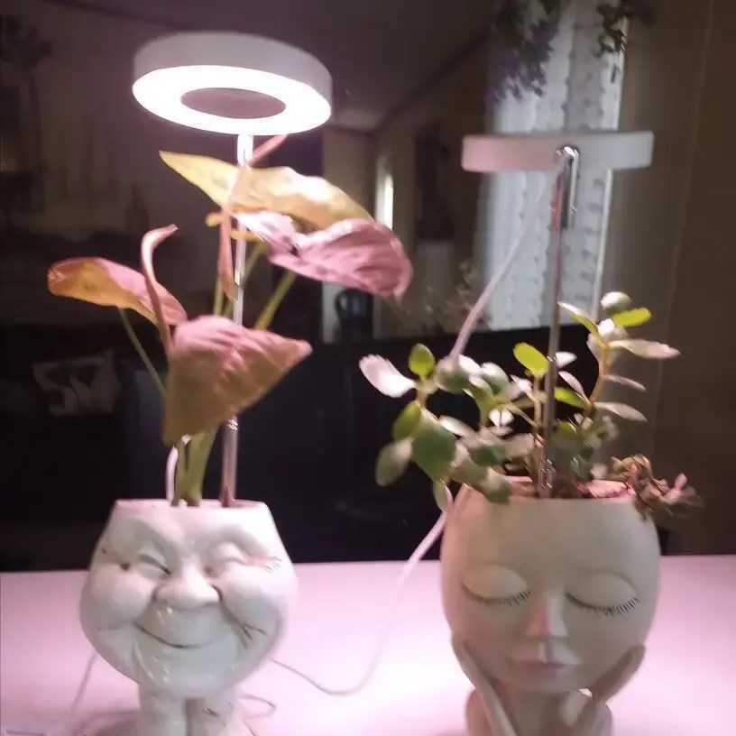 1/2/3/4 pcs Grow Light Full Spectrum LED Plant Light for Indoor Plants Height Adjustable with Auto On/Off Timer 4 DimmableXJ250526