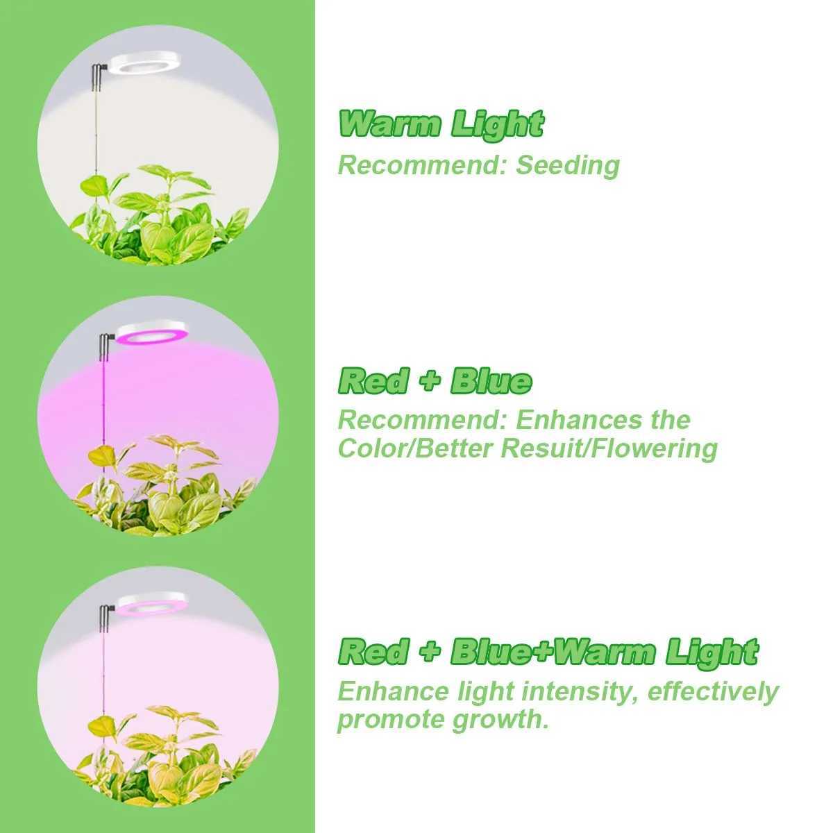 Full spectrum LED plant growth Light 3/9/12 Timing height adjustable three color temperature indoor pot succulent plant lightXJ250526