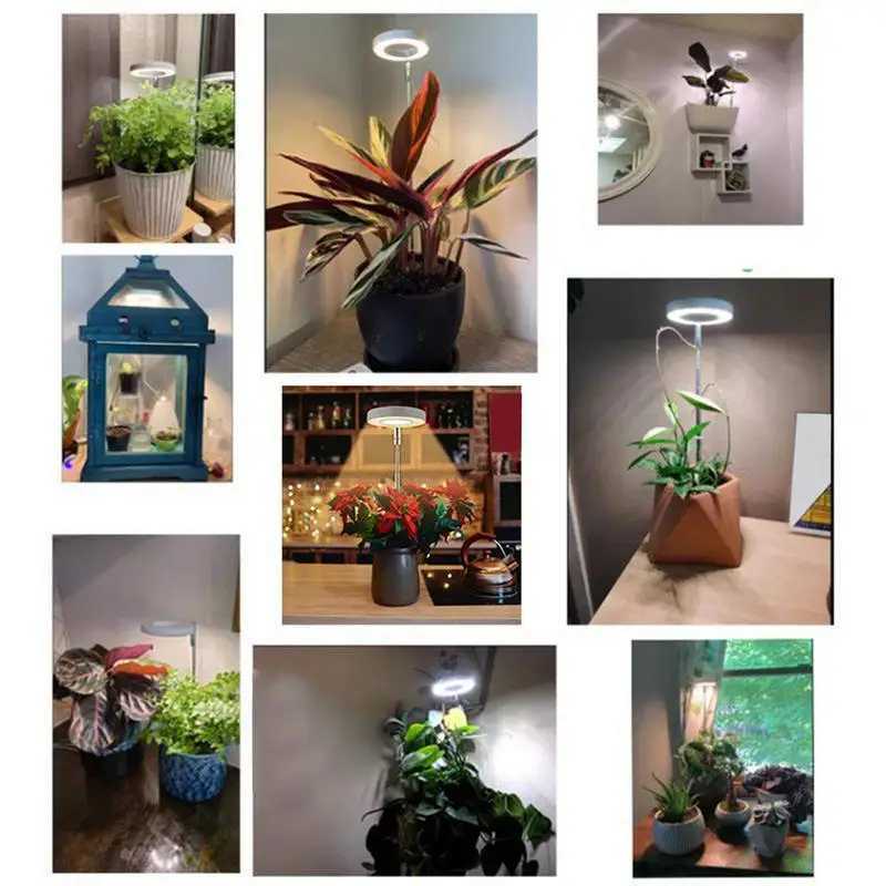 LED Plant Grow Light Sun Simulation Fill Lamp for Flowers LED Full Spectrum Grow Lights for Indoor Plants with 360 RotationXJ250526