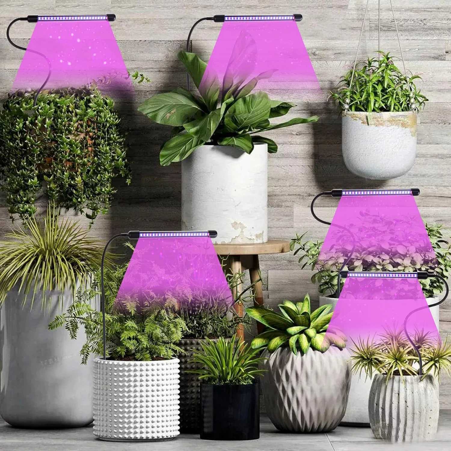 LED Plant Growth Lamp Indoor 5V Full Spectrum Growth Lamp USB Red Blue 2Colors Dimmable Indoor Succulent Growth LightingXJ250526