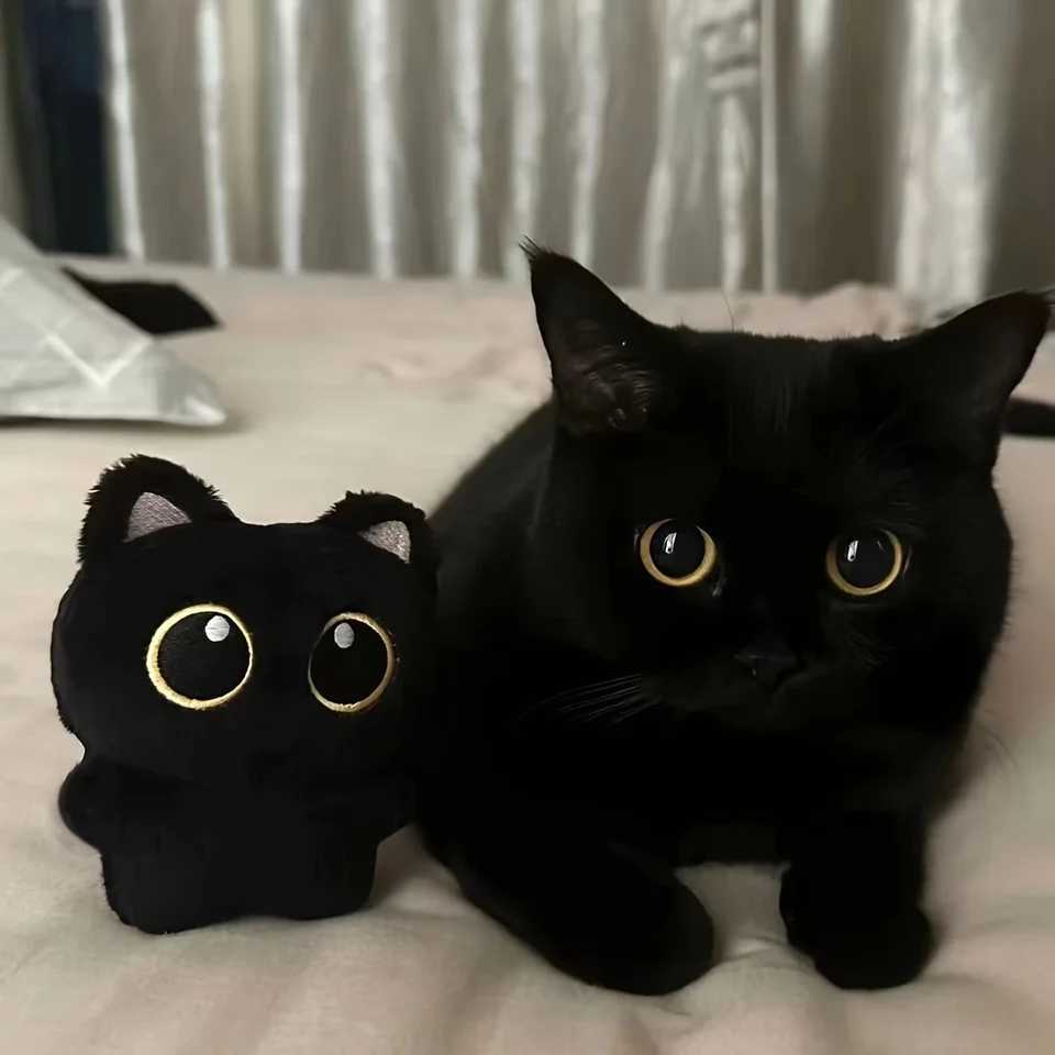 1 Pcs Cute Plush Little Black Cat Doll Pendant Versatile Hanging Decoration Cat shaped Pet Plush Toy Backpack Keychain XJ250524