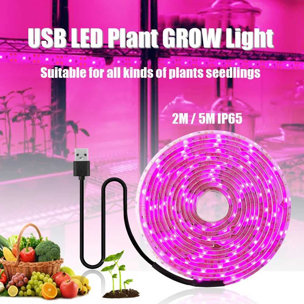5V USB LED Bitki Byme I 2M 5M Tam Spektrum Hidroponik Yetitirme Lambalar Mekan Bitkiler Sera iekler Tohumlar Fito Lamba eritXJ250526