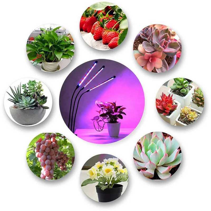 LED USB Grow Light Phytolamp for Plants with Control Full Spectrum Fitolamp Lights Home Flower Seedling Clip Phyto LampXJ250526
