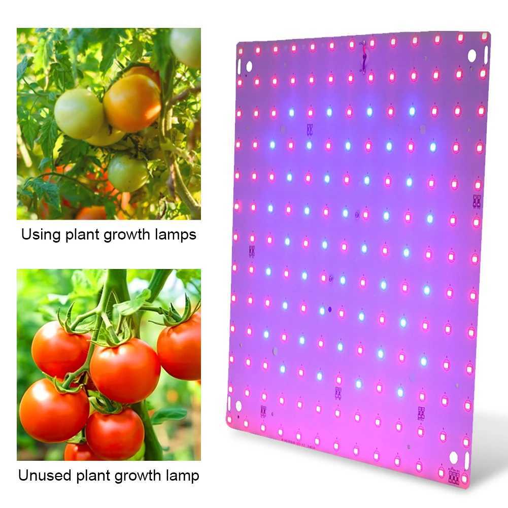 12W Full Spectrum Plant Lamp 169 LED Grow Lamp Full Spectrum Grow Light Red Blue LED for Indoor Gardening Vegetables Grow TentXJ250526