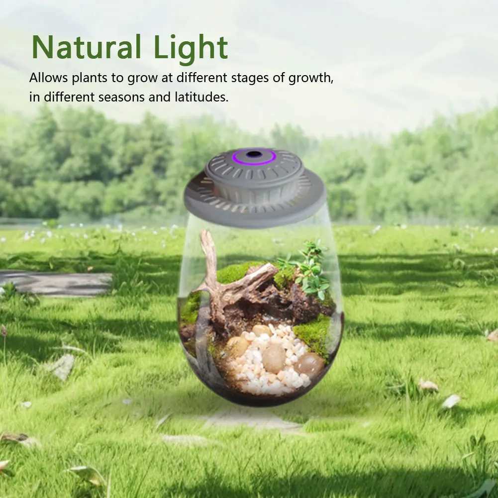Micro Landscape Plant Growth Lamp with Timer Plant Grow Light LED Full Spectrum Growing Lamp for Miniature Gardening LandscapeXJ250526