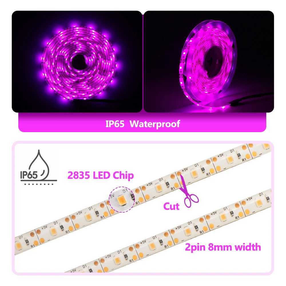 5V USB LED Bitki Byme I 2M 5M Tam Spektrum Hidroponik Yetitirme Lambalar Mekan Bitkiler Sera iekler Tohumlar Fito Lamba eritXJ250526