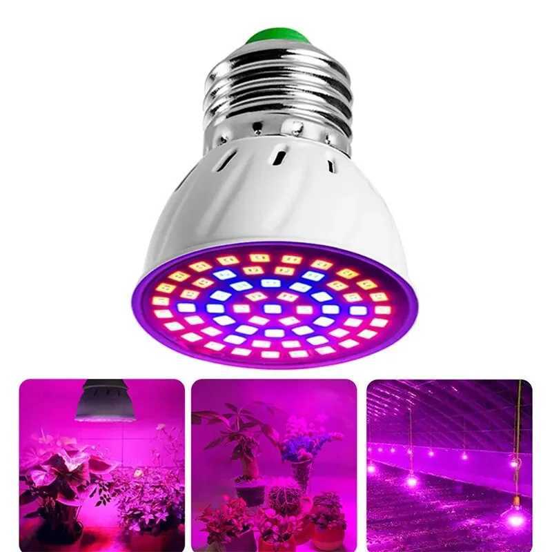 220V E27 60LEDs Plant Grow Light Phyto Lamps Led Full Spectrum Growing Bulb for Greenhouse Hydroponics Growth FitolampyXJ250526