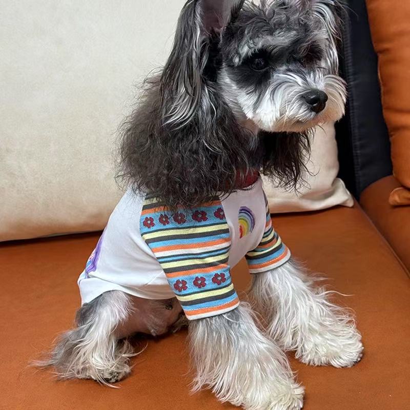 T00310 Dog pet cotton hooded sweatshirt for going out for small and medium-sized dogs Maltese Teddy Bichon Corgi
