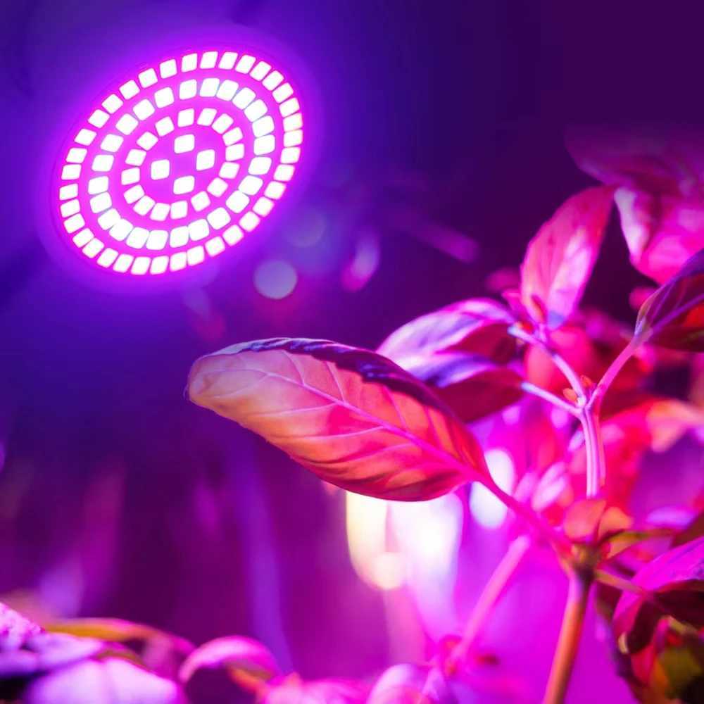 Plant Grow Lamp 220V Garden Light Spectrum LED Full Growing Bulb for Greenhouse Hydroponics Growth Fitolampy Flower LampXJ250526