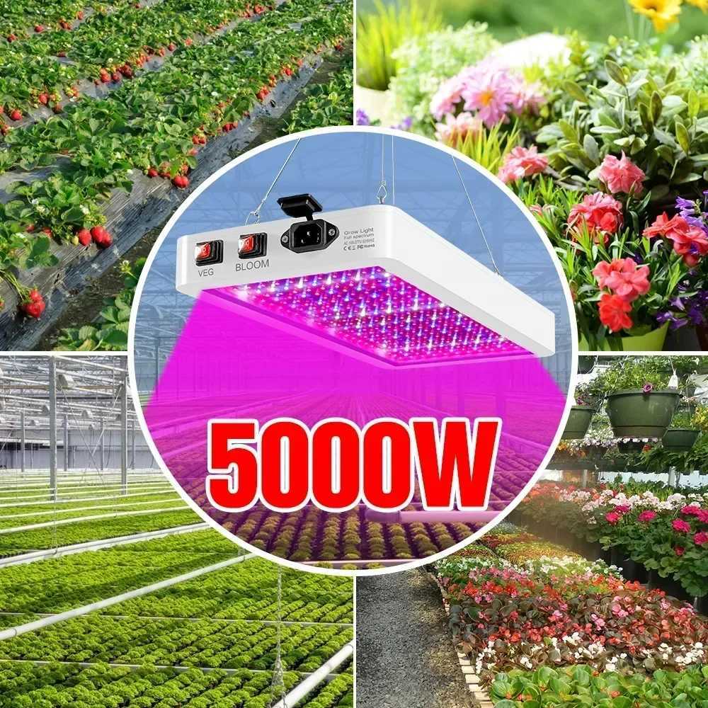 Newest 4000/5000W Full Spectrum LED Growing Light IP65 Plant Bulbs Hydroponic Lamp Greenhouse Lamps Flower Growth Lighting BoxXJ250526
