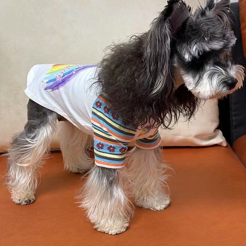 T00310 Dog pet cotton hooded sweatshirt for going out for small and medium-sized dogs Maltese Teddy Bichon Corgi