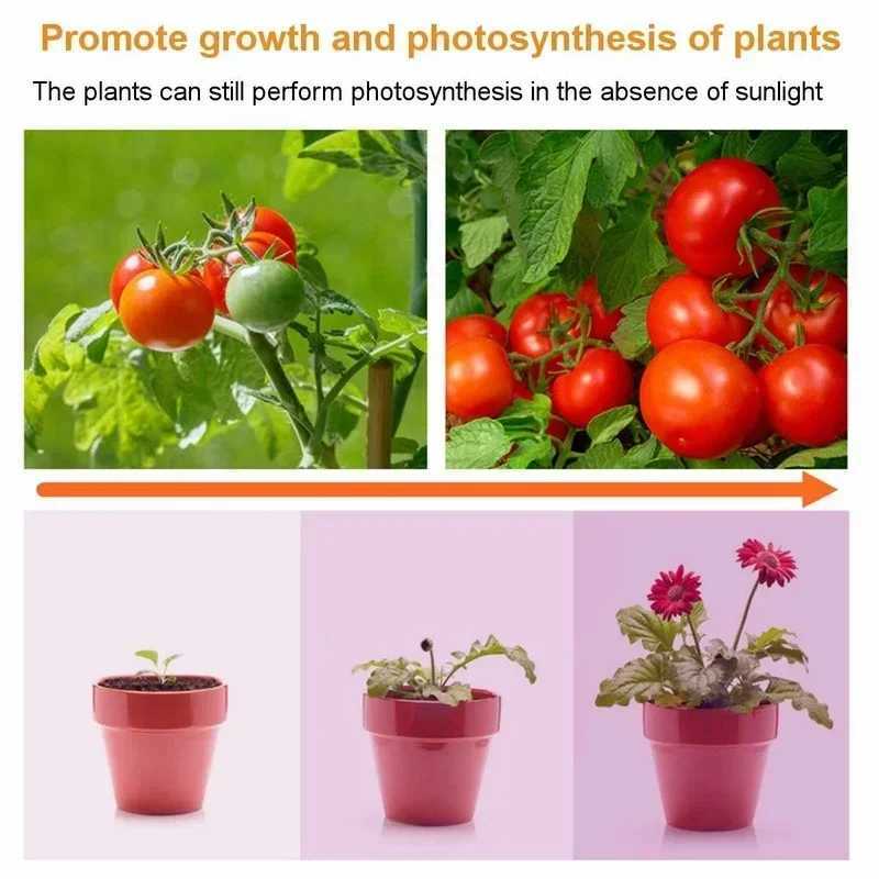 169/81 LED Plant Grow Light Full Spectrum Veg Bloom Lamp Indoor Plant Growing Light Greenhouse Garden US/EU PlugXJ250526