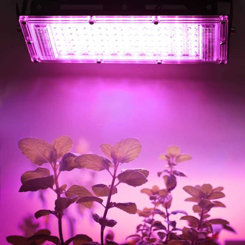 3Pcs 50W LED Grow Light AC220V Full Spectrum DIY Greenhouse Hydroponic Plant Growth Lighting Smd2835 Indoor Plant Light SeedlingXJ250526