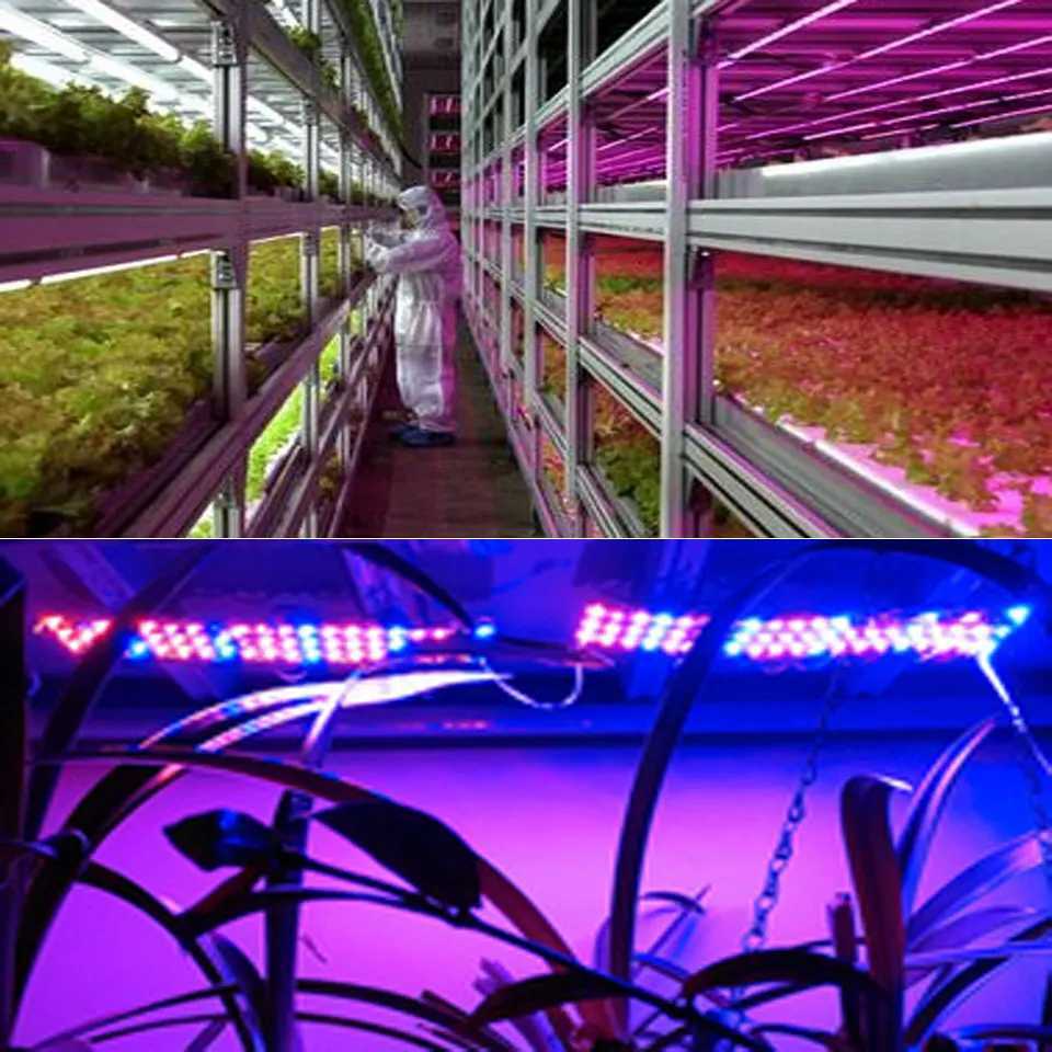 10Pcs Royal Blue LED Grow Chip 440nm Light Beads 1W 3W 5W Emitter Blub LED Chip For Indoor Aquarium Plant GrowXJ250526