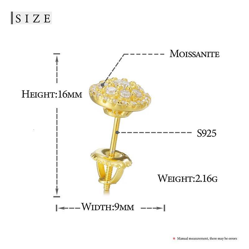 S Sterling Moissanite Earring For Women Fine Aro Mujer Oreja Sier Jewelry Wedding Stud Earrings Exquisite Gift